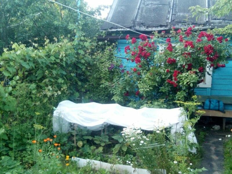 Купить Дом В Сормовском Районе Нижнего Новгорода