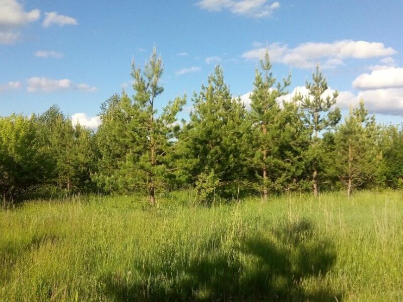 Снт Красноярские Дачи Самарская Область Купить