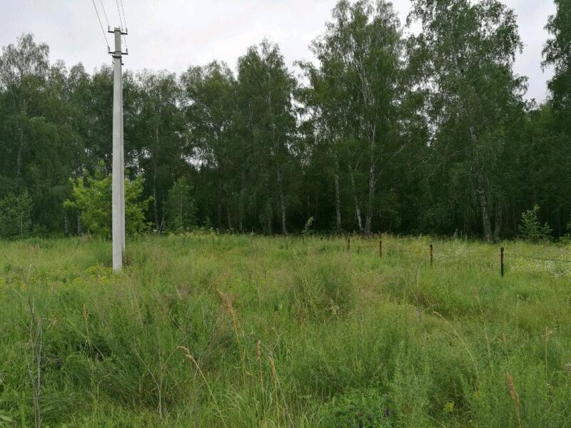 Купить Участок В Новосибирском