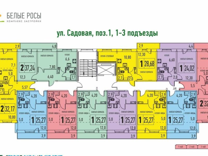 План белые росы