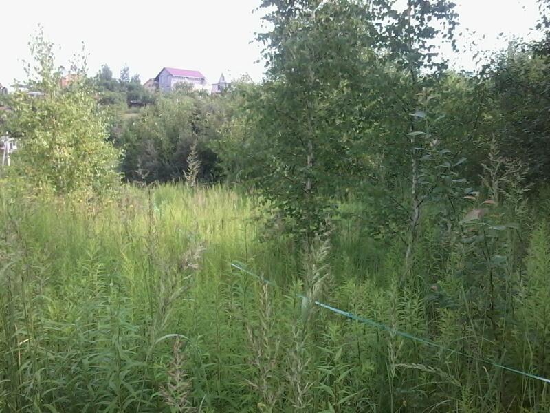 Купить Дачу В Афонино Нижегородской