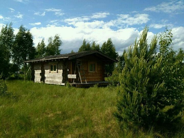 Участок В Нижних Осельках Купить