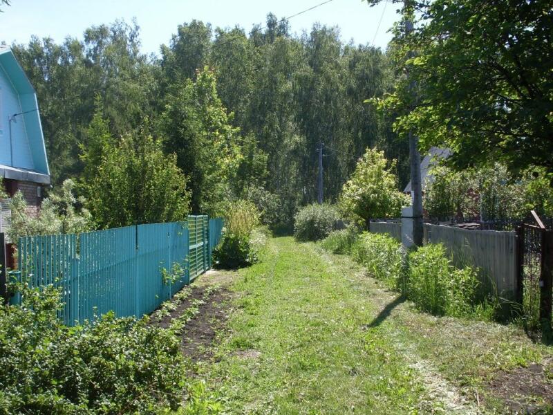 Купить Дачу В Омске Снт Мечта