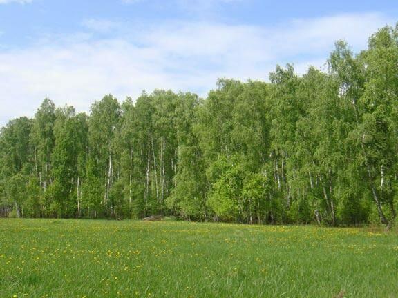 Купить Квартиру С Троицкое Чеховский Район