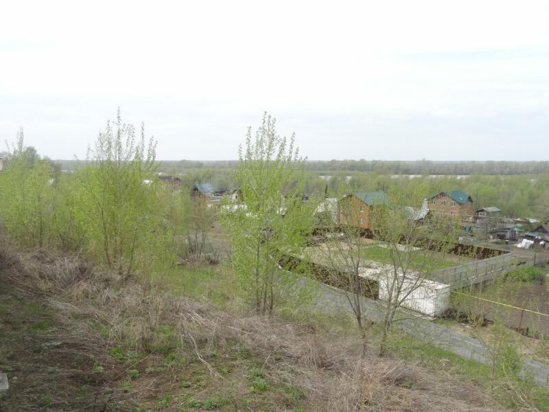 Купить Участок В Чике Прокудском Новосибирской Области