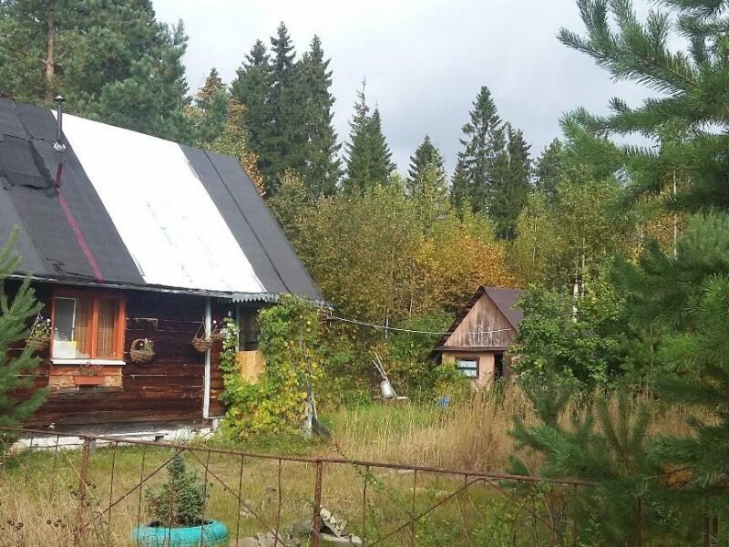Купить Дачу В Перми Недалеко