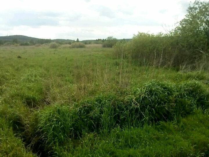 Купить Участок В Екатеринбурге Большой Исток