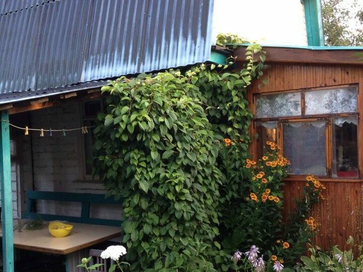 Купить Дом В Сормовском Районе Нижнего Новгорода