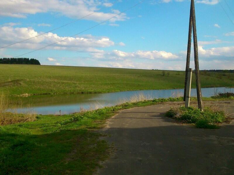 Озеро Тишино Деревня Ягодное Пильнинский Район Фотографии