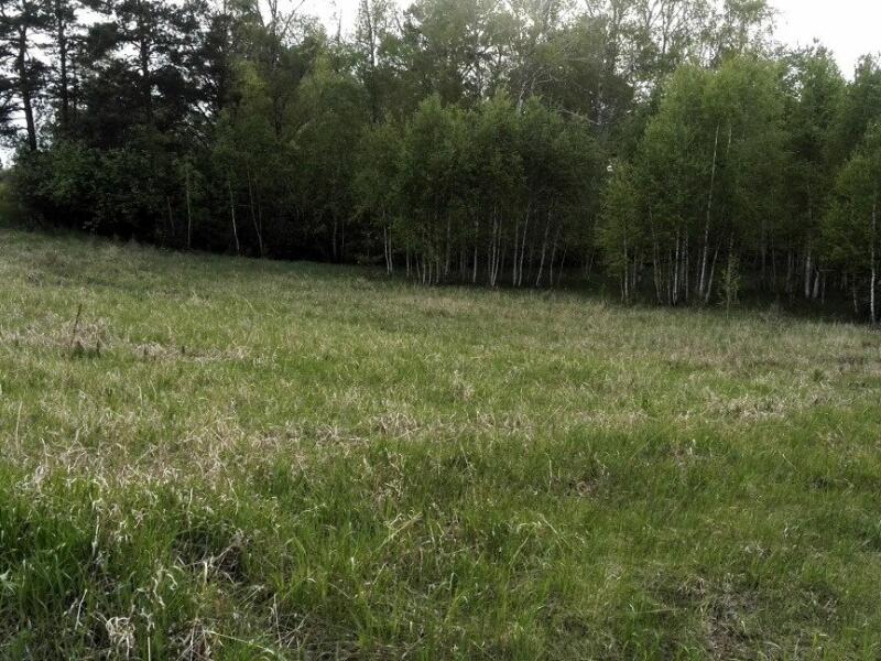 Купить Землю Под Ижс В Красноярска