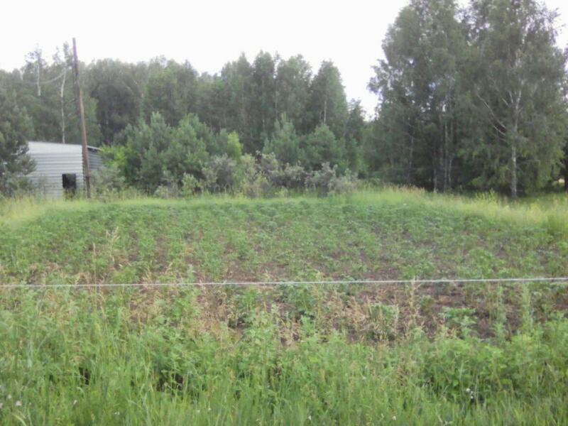 Купить Участок Снт Моя Семья