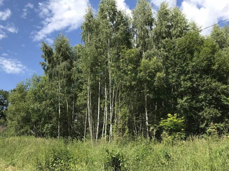 Купить Земельный Участок В Тарусском Районе