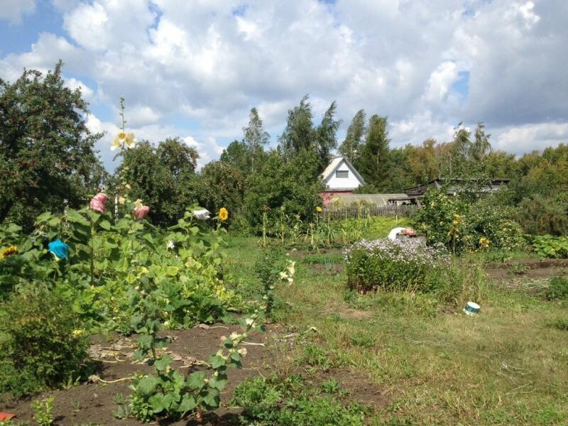 Купить Дачу В Заря 1 Омск