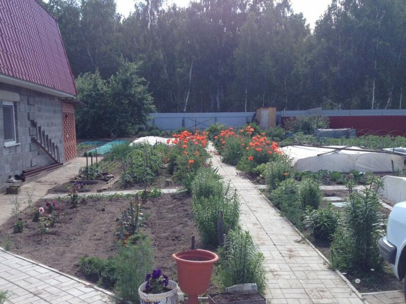 Купить Дачу В Омске Дорожник