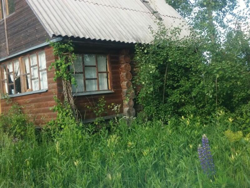 Дачи мск