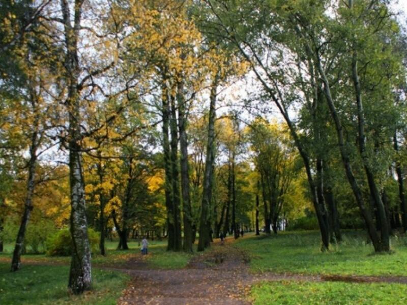 Парк куракина дача в санкт петербурге