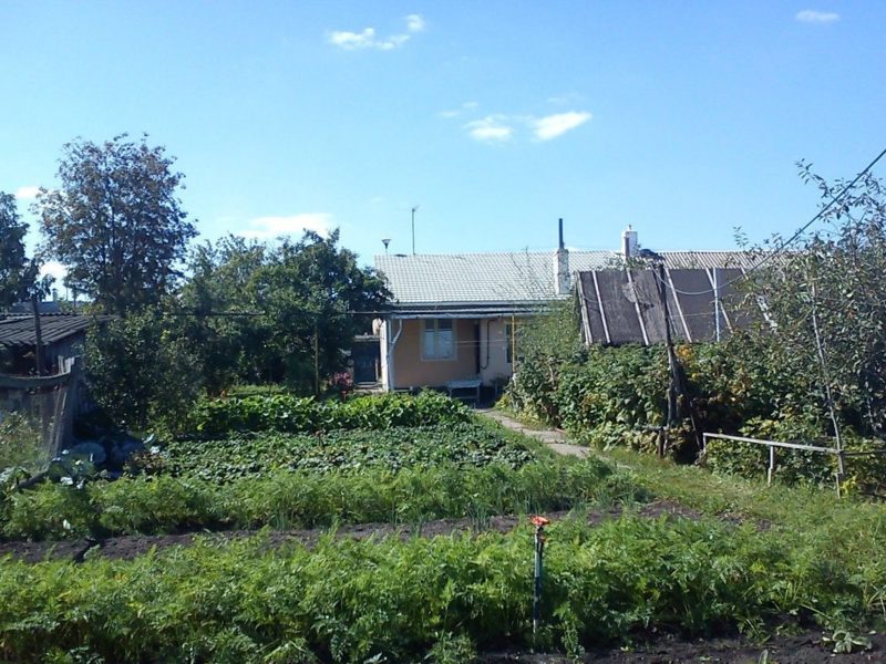 Дом в михайлове рязанской области