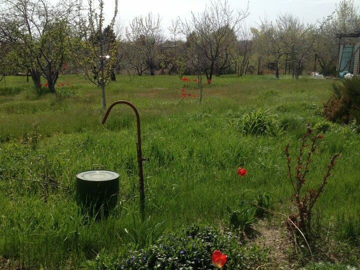 Дача Снт Горчичник Волгоград Купить