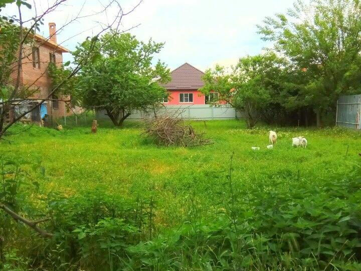 Купить Земельный Участок В Краснодаре Недорого