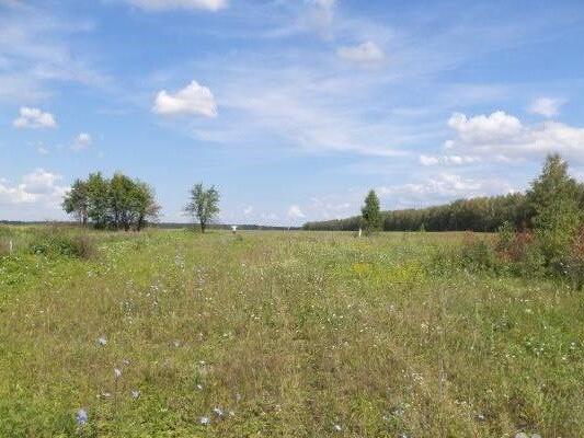 Участки под ижс рязань. Фурсово Тульская область. !Село Фурсово. С Фурсово Рязань.