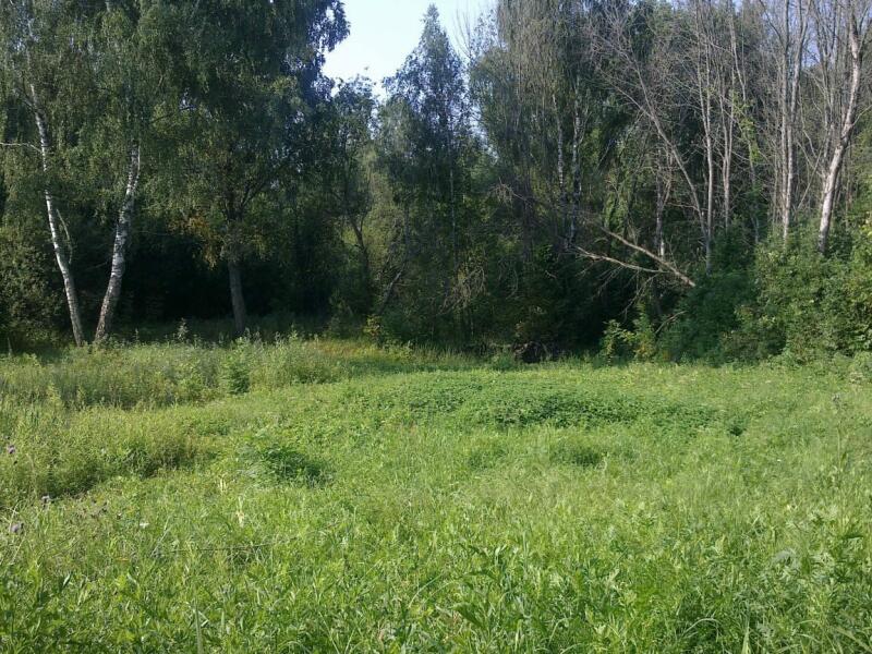Михнево малино. Ступинский район СНТ Марьинка 3 2 очередь. Продажа участков Вега-2 Малино Ступинский район