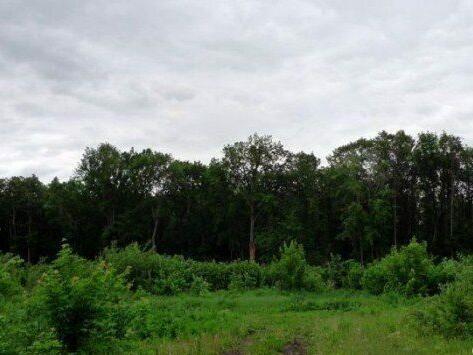Купить Участок В Студеном Овраге Самара