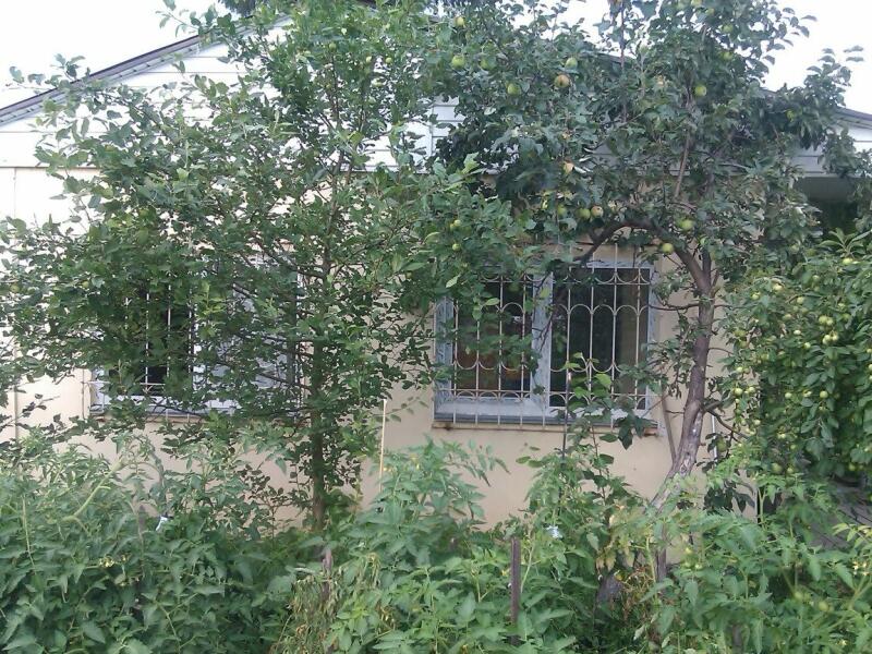 Купить Дачу В Нефтяниках Снт Каучук