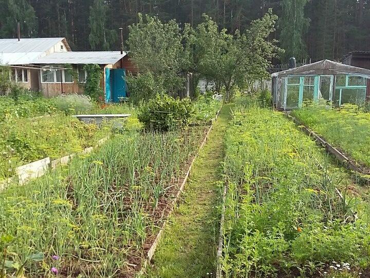 Купить Дачу Свердловский Район Пермь