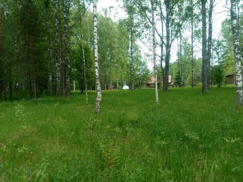 Участок Купить Ленинградская Область Приозерское Направление