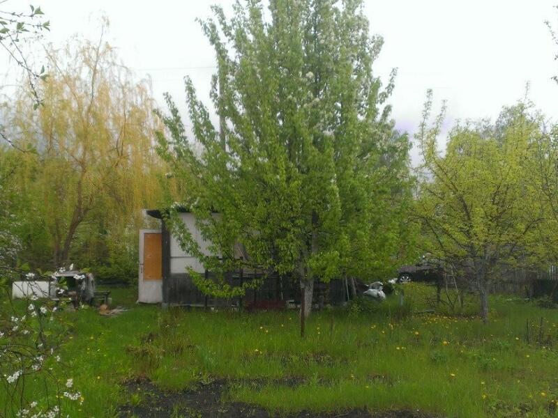 Купить Дачу В П Береза Самарской Области