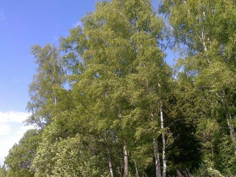 Купить Участок В Московской На Юге