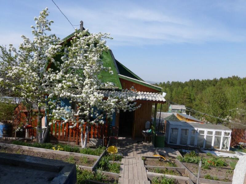 Купить Дачу В Красноярск Дешевый