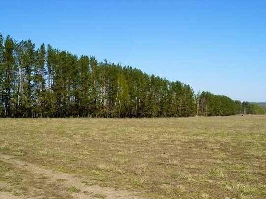 Купить Землю Сельхозназначения В Вологодской Области