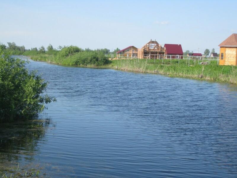 Вода луговая пермь. Озеро Виланное Новосибирск. Озеро Рыбачье Новосибирск. Озеро хищник Колыванский район. СНТ озеро.