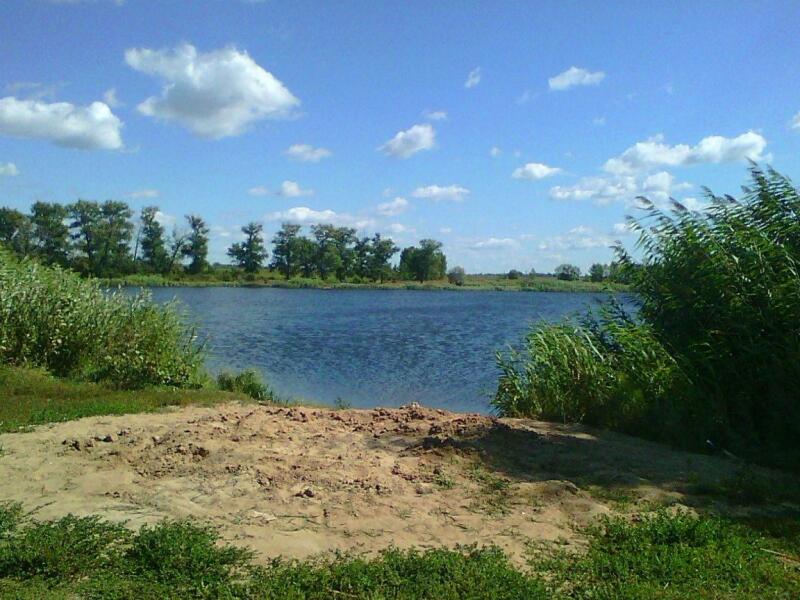 Купить Дом В Забугорье Верхнехавского Района
