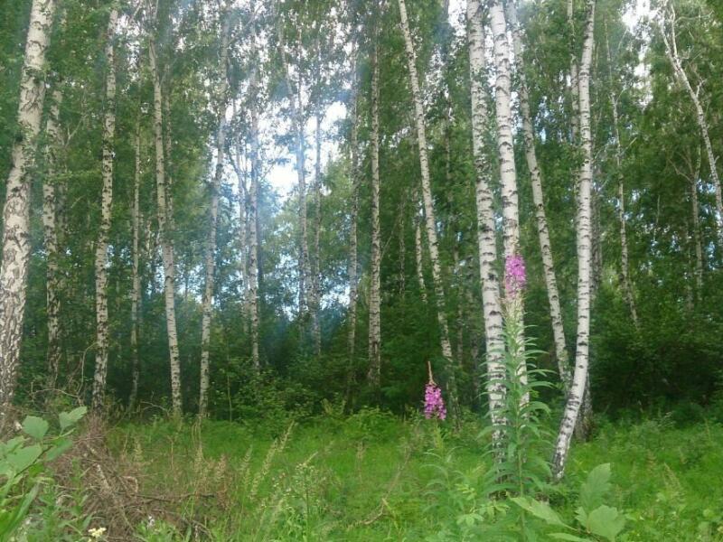 Земельный Участок Купить Свердловская Область Заречный