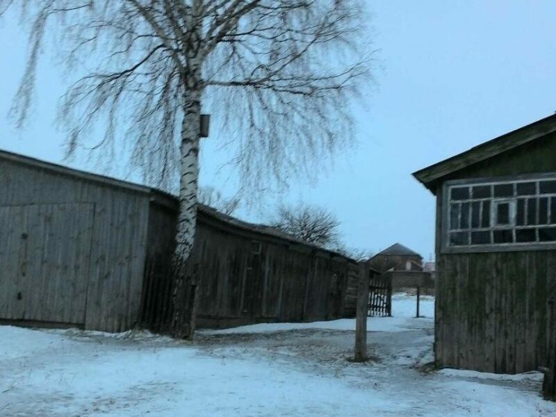 Пермяки Высокогорский Район Купить