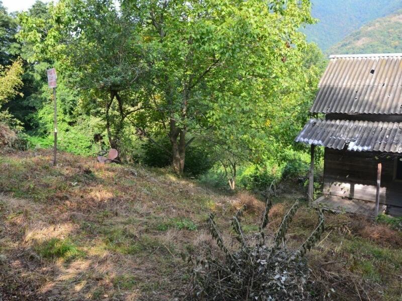 Купить Недорогую Дачу В Лазаревском Районе