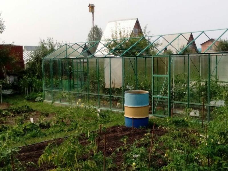 Снт Малышево Нижний Новгород Купить Дачу