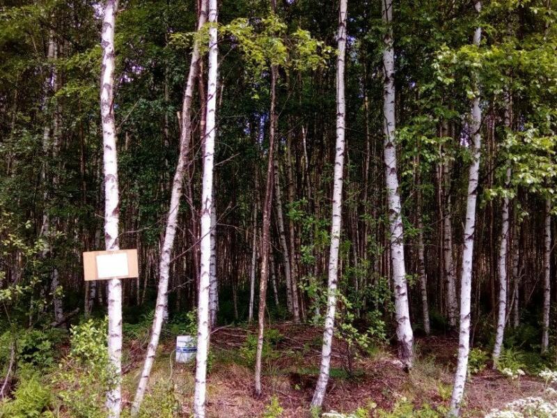 Купить Участок Приозерский Район Ленинградская Область Коммунары