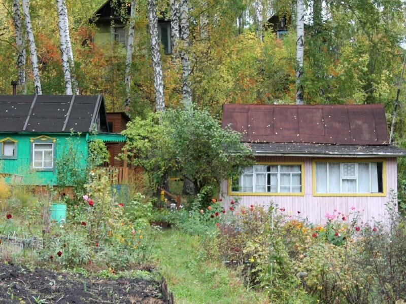 Купить Дачу Снт Ветеран Новосибирск