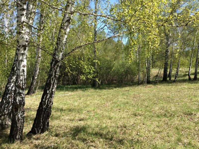 Купить Участок В Петровском Челябинской Области