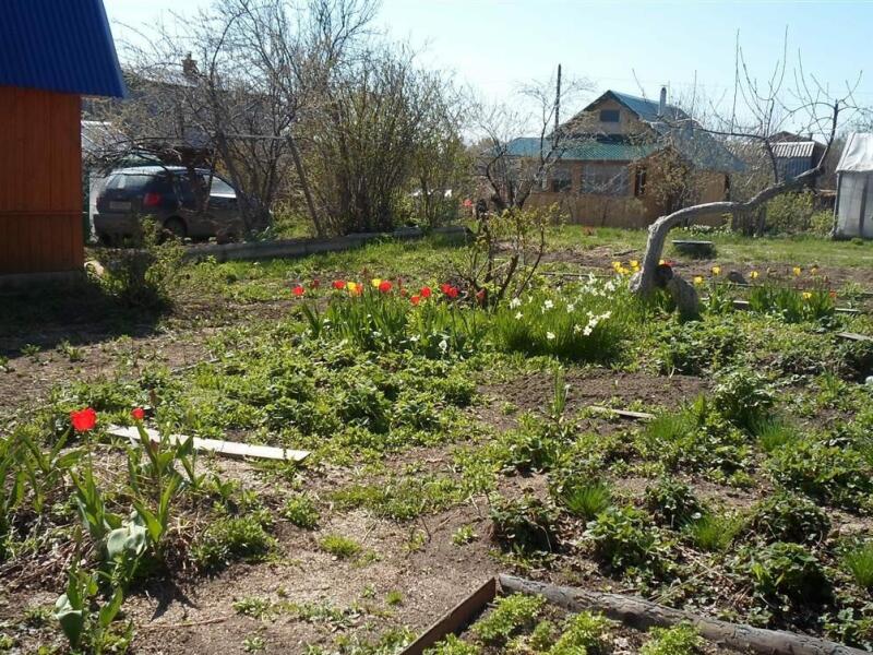 Зеленый бор пышма. Зелёный Бор верхняя Пышма. Пышма верхняя плодоносящий сад с домом и баней. Зелёный Бор Екатеринбург сад 49. Дома в зеленом Бору верхняя Пышма.