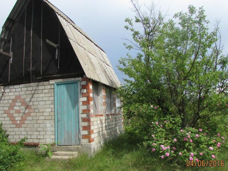 Тсн воронеж. Дача Березовское 2 Воронеж.