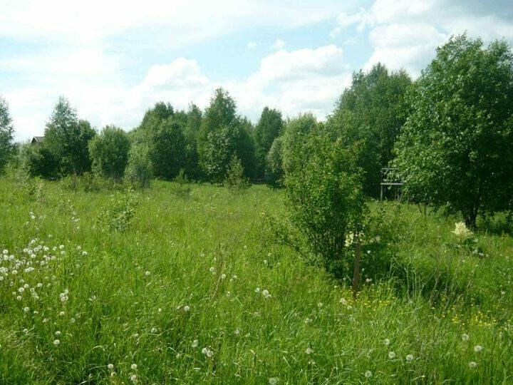 Купить Участок В Перми
