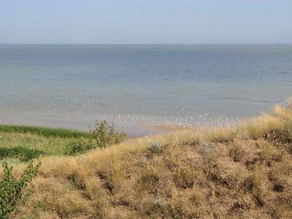 Участки На Азовском Море Купить Недорого