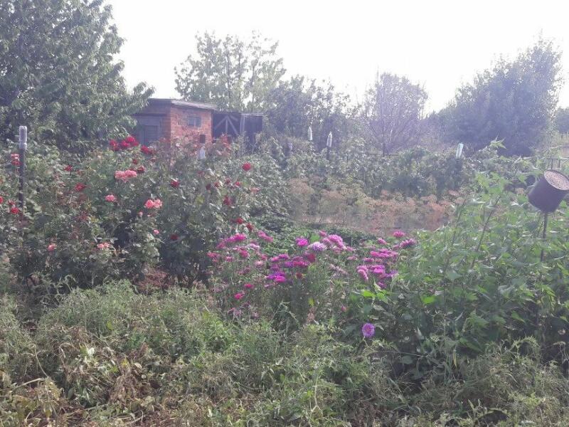 Купить Дачу Химик В Волгограде Светлоярский Район