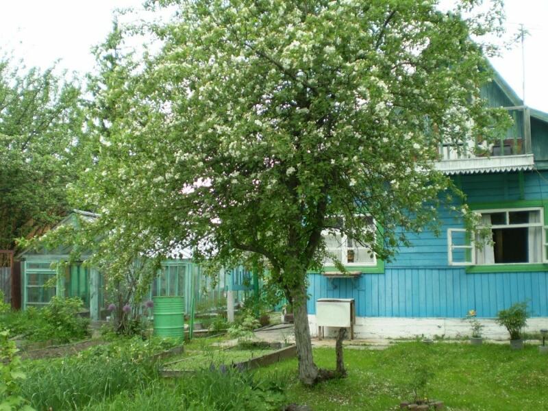 Купить Дачу На Широкой Речке В Екатеринбурге