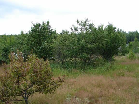 Купить Дачу В Ягодном Нижегородской