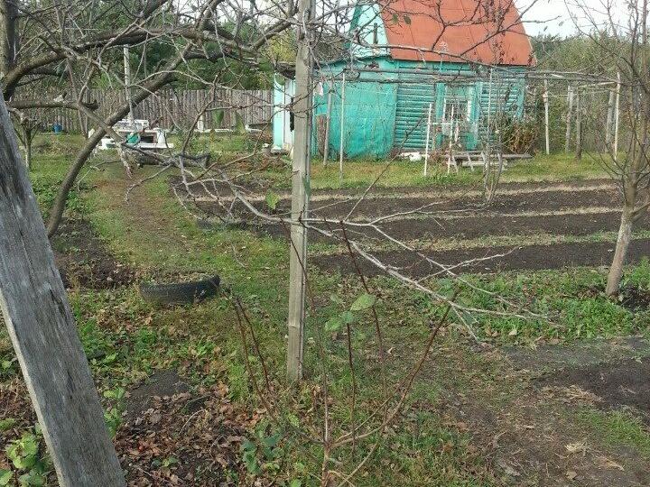Снт Семья Купить Участок